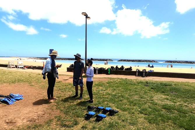 Guided Snorkel Tour for Beginners in Honolulu - What You Learn Before You Put Your Face in
