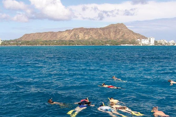 Half Day Oahu Combo Adventure: Bike, Sail and Snorkel - From hotel lobby to Tantalus to open water: how the day actually flows