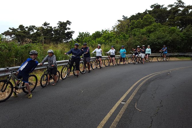 Half Day Oahu Combo Adventure: Bike, Sail and Snorkel - Snorkeling for reef fish and turtles: what you should really plan for