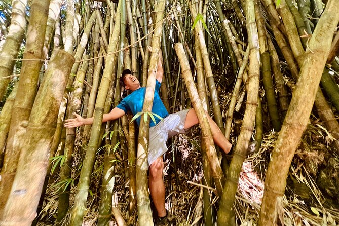 Half-Day Waterfall Tour - Hike, Scenic, Food and Photo - Entering a Trail Nobody Can Follow