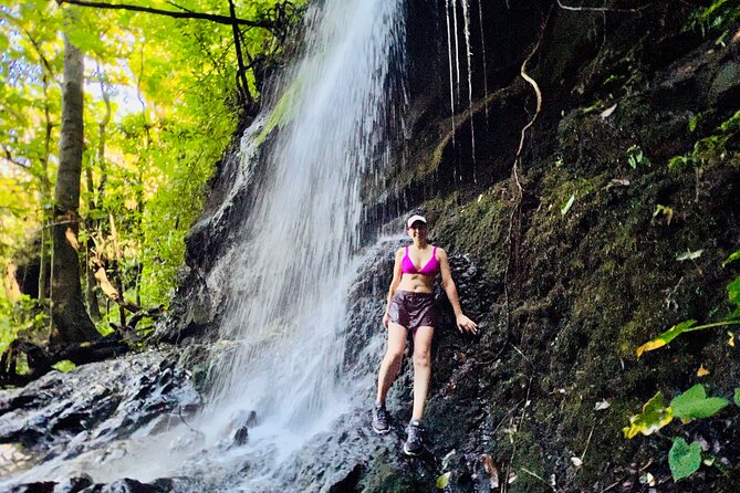 Half-Day Waterfall Tour - Hike, Scenic, Food and Photo - Tantalus Lookout: The Scenic Reward After the Hike