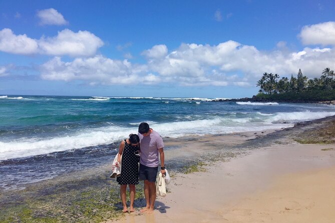 Hawaii's Best Private Build-Your-Tour Charter Service - Price and value: when $350 per group makes sense