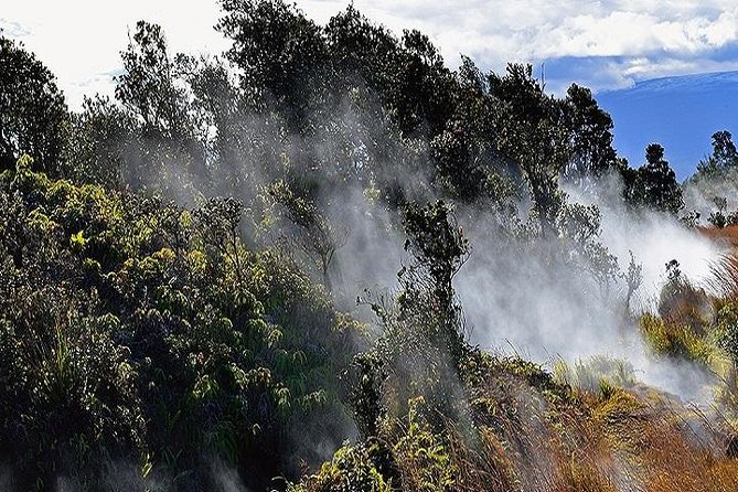 Hawaii Volcanoes National Park Experience from Oahu - Hawaiʻi Volcanoes National Park: From Halemaʻumaʻu to Lava Tube Heat