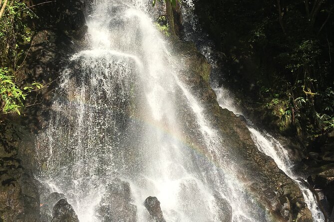 Hidden Hawaii Tours - The value: why $150 feels fair for what you get