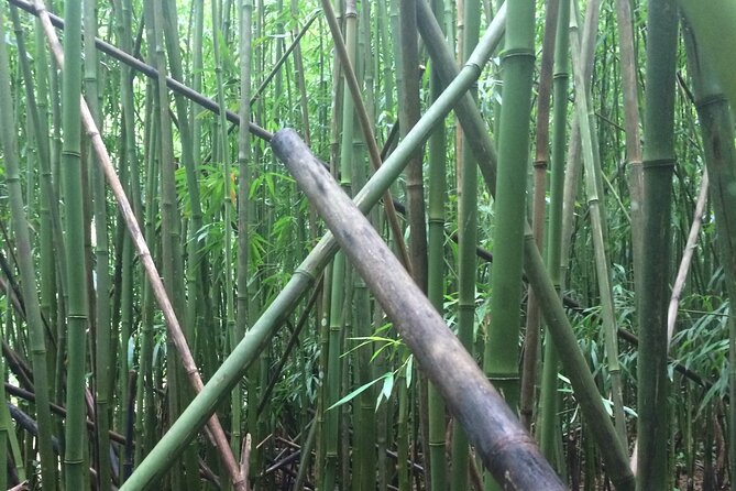 Hidden Hawaii Tours - Planning tips so your day runs smoothly