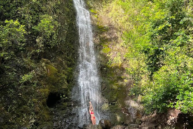 Hike to a Tropical Waterfall - pick up included - What the 3-Hour Waterfall Hike Actually Feels Like