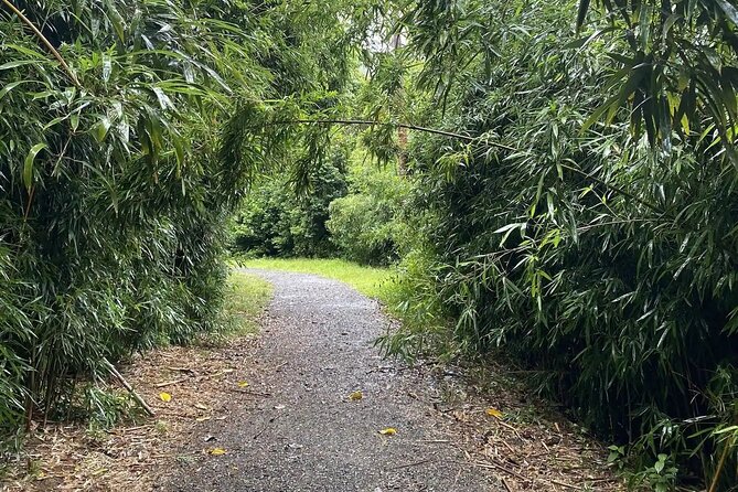 Hike to a Tropical Waterfall - pick up included - Your Guide Makes It Personal: Valeria, Tahmina, and the Photo Focus