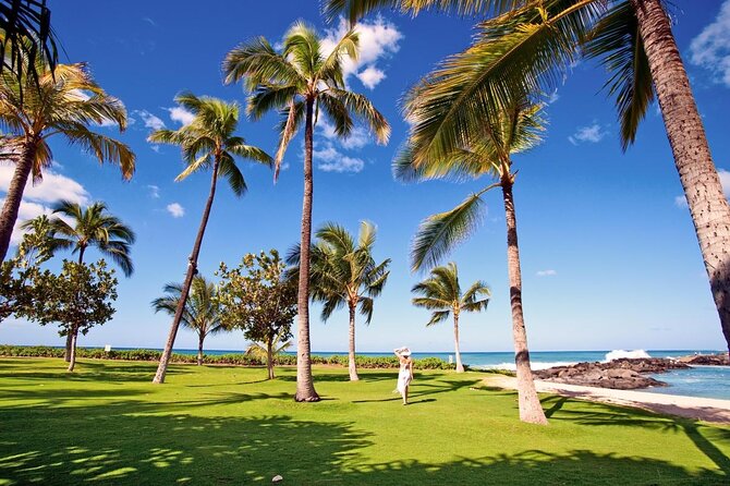 Honolulu Airport & Ko Olina Hotels Private Transfer by Minivan (up to 5 people) - Key highlights to clock before you book