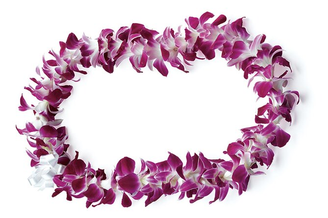 Honolulu Airport: Waikiki Private Transfer With Lei Greeting - Meeting at baggage claim: the anti-airport-stress plan