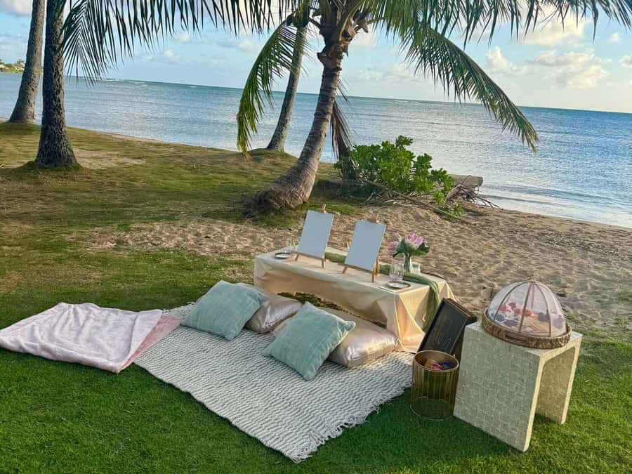 Honolulu: Beachside Luxury Picnic & Paint - Key Things You’ll Notice