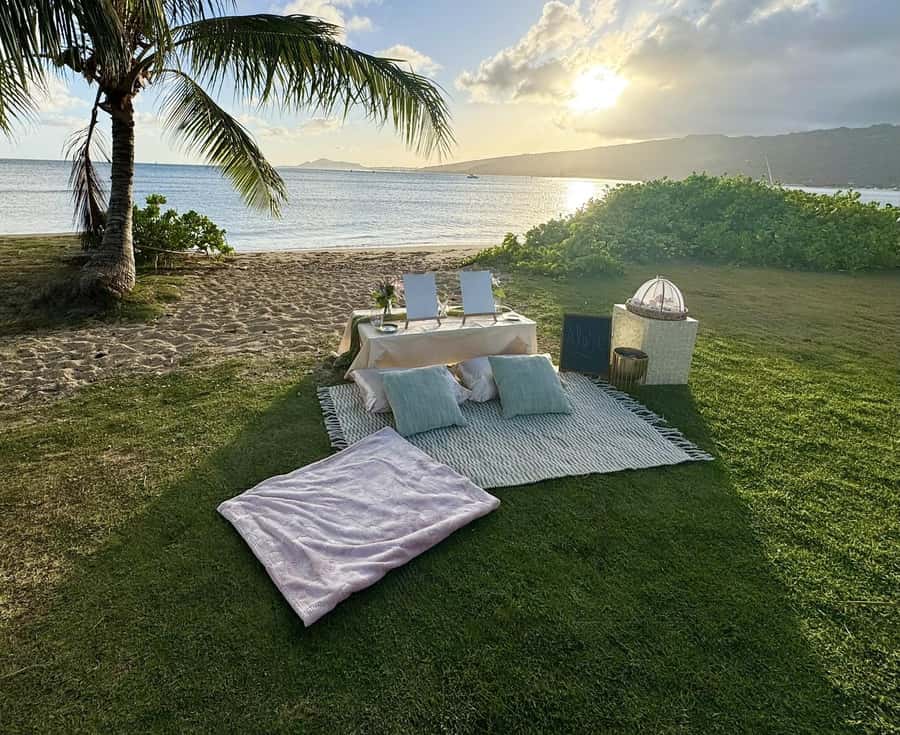 Honolulu: Beachside Luxury Picnic & Paint - Beachside Setup First: Where This Experience Really Shines