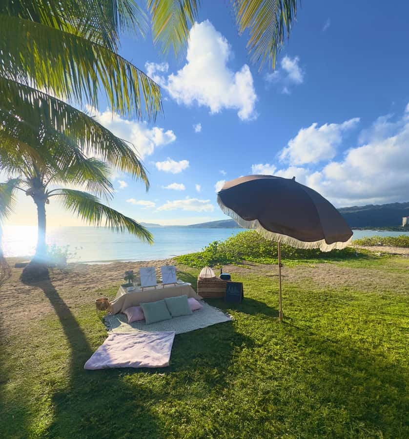 Honolulu: Beachside Luxury Picnic & Paint - Small Practical Tips Before You Go