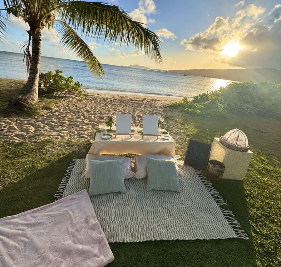 Honolulu: Beachside Luxury Picnic & Paint - Should You Book This Honolulu Beachside Picnic & Paint?