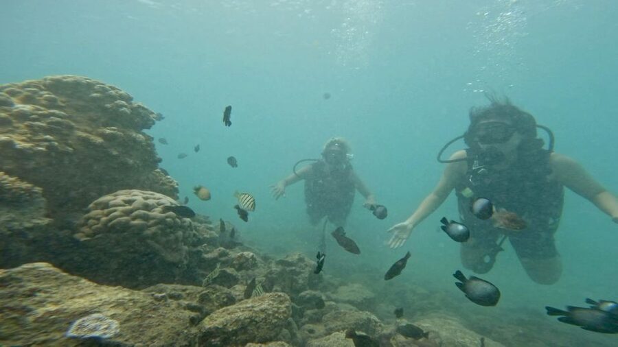 Honolulu: Beginner Scuba Diving Tour With Free Videos - Free Videos: A Memory You Don’t Have to Chase