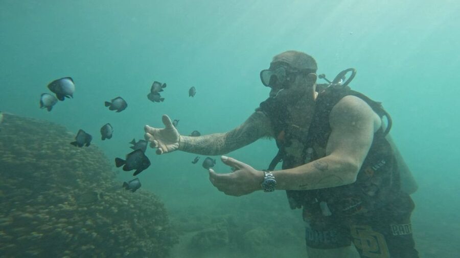 Honolulu: Beginner Scuba Diving Tour With Free Videos - Price and Value: Is $89 Worth It Here?