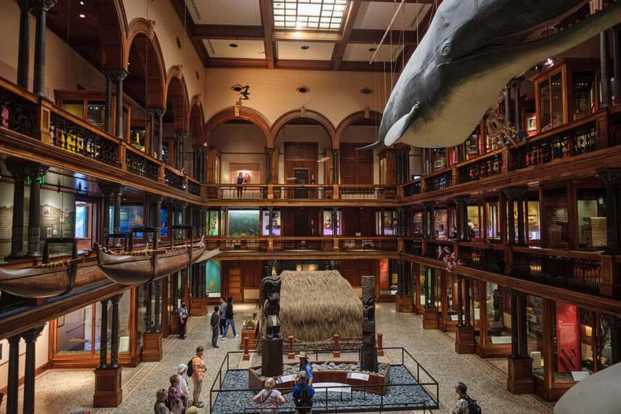 Honolulu: Bishop Museum General Admission Ticket - Key things that make this ticket worth your time