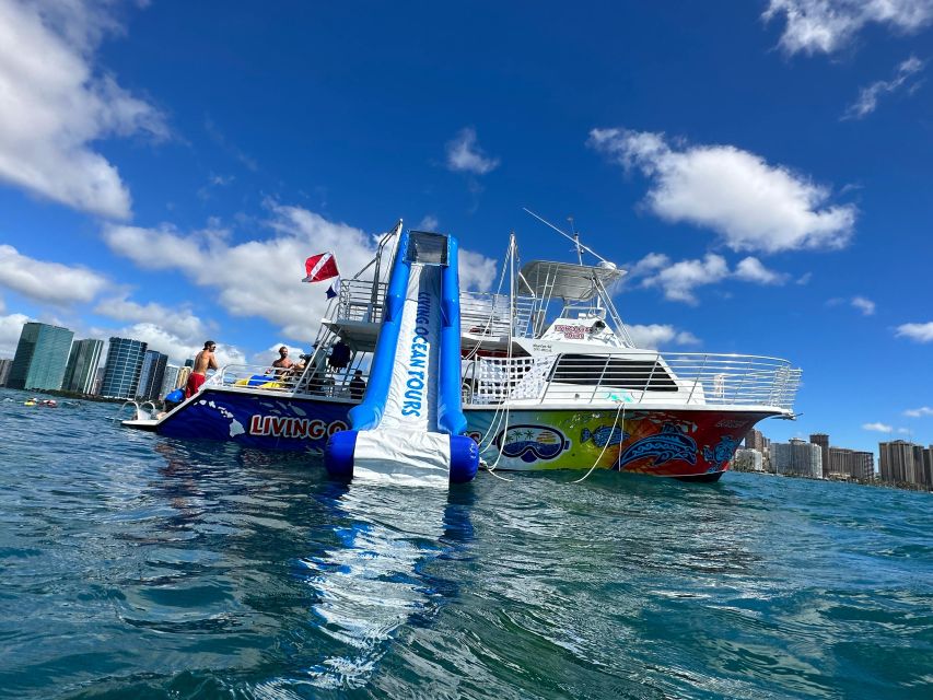 Honolulu: Deluxe Waikiki Snorkel and Wildlife Cruise - A tour that pairs Waikiki fun with real ocean time