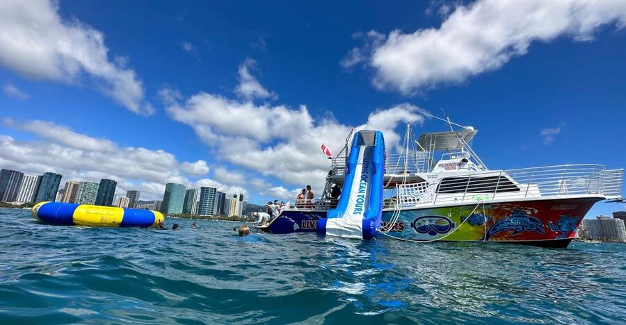 Honolulu: Deluxe Waikiki Snorkel and Wildlife Cruise - 90 minutes at the Waikiki anchorage: snorkeling, swimming, and floating