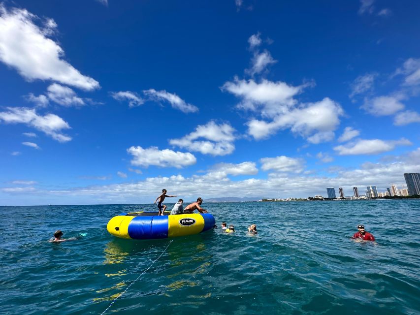 Honolulu: Deluxe Waikiki Snorkel and Wildlife Cruise - Should you book the Deluxe Waikiki Snorkel and Wildlife Cruise?