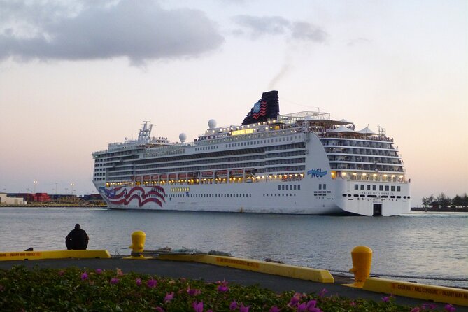 Honolulu Harbor Cruise Terminal Transfer by Luxury Vehicle - Entering the car: what this transfer is really for