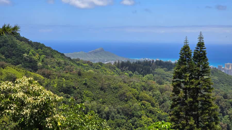 Honolulu: Hawaiian Volcanic Rainforest Hike - Le’ahi (Diamond Head) and the thrill of spotting volcano shapes from far away