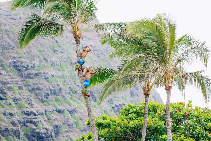 Honolulu: Ka Moana Luau Dinner and Show with Transportation - Key Highlights at a Glance