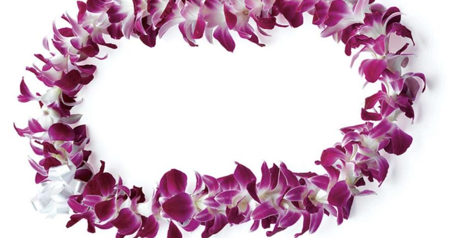 Honolulu: Private Airport Transfer with Arrival Lei Greeting - Your Arrival Plan: Skip the Airport Stress and Go Straight to Waikiki