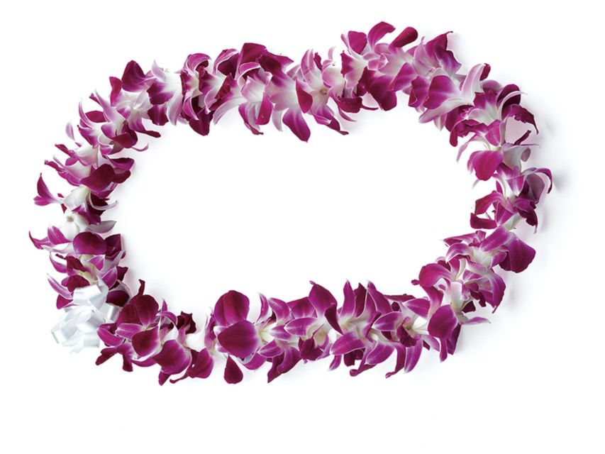 Honolulu: Private Airport Transfer with Arrival Lei Greeting - The Driver Wait: Sign in Hand, Not You Wandering