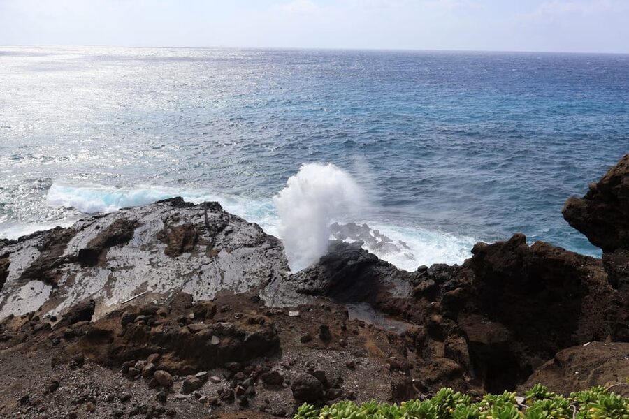 Honolulu: Stunning Views of Oahu! Half-day Scenic Tour - Who This Tour Fits Best (and Who Should Skip It)