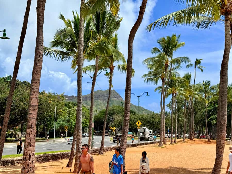 Honolulu: Waikiki Food Tour with Local Guide - Price and Value: Does $100 Make Sense for a 3-Hour Tour?