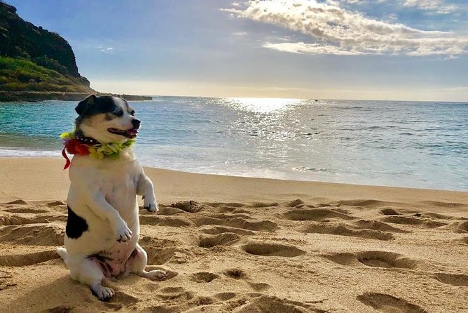 Incredible west side hidden gems -PLEASE CONTACT BEFORE BOOKING - Pray for Sex Beach: deep white sand and a name that makes you smile