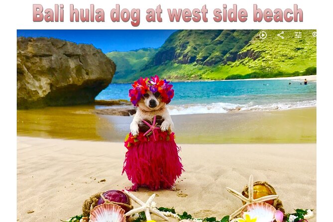 Incredible west side hidden gems -PLEASE CONTACT BEFORE BOOKING - Why the guide experience feels personal (and how Susie adds real value)