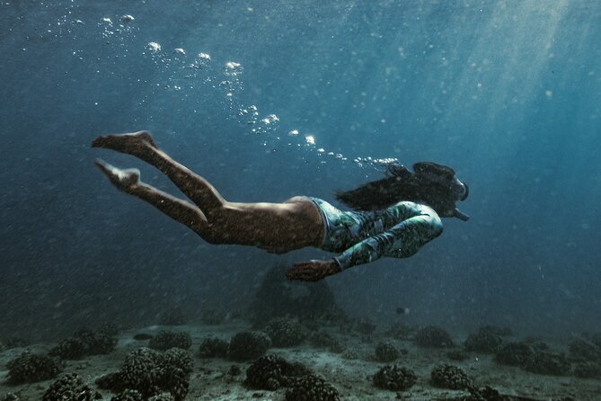 Kayak, Snorkel, and Surf with Turtles in Honolulu - Turtle Canyon Snorkeling: Where Green Sea Turtles Steal the Show