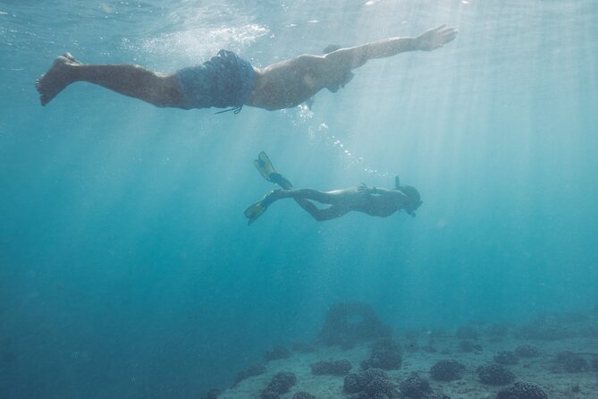 Kayak, Snorkel, and Surf with Turtles in Honolulu - Photo Moment and Diamond Backdrop: The Easy Ending