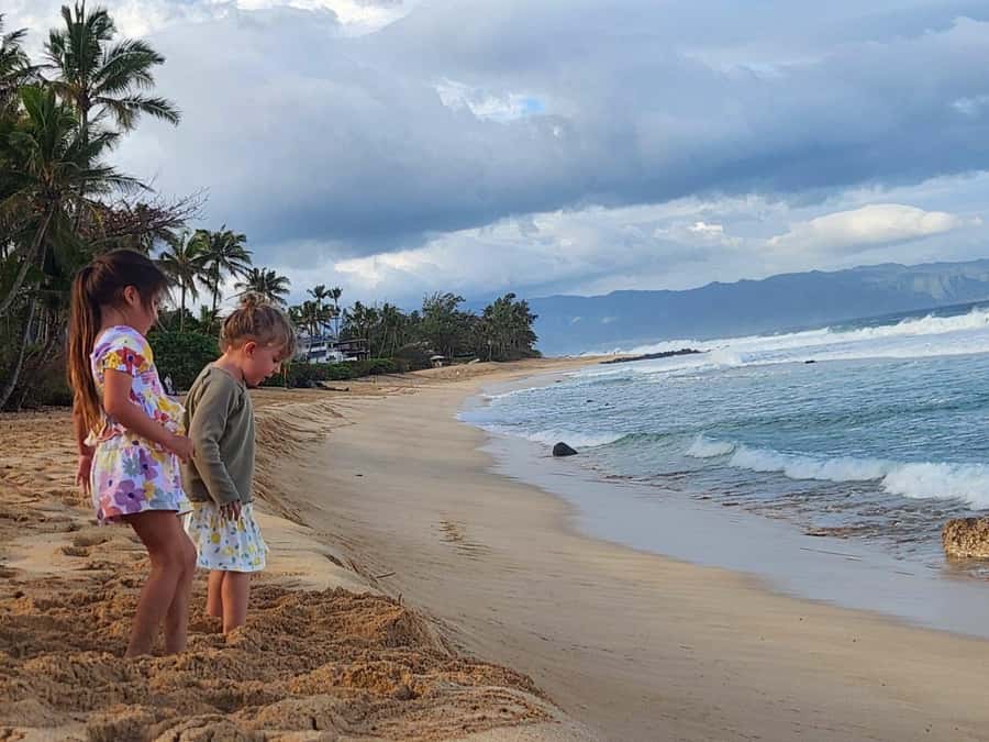 Kevo's Beach Bus - Why This North Shore Day Tour Works So Well