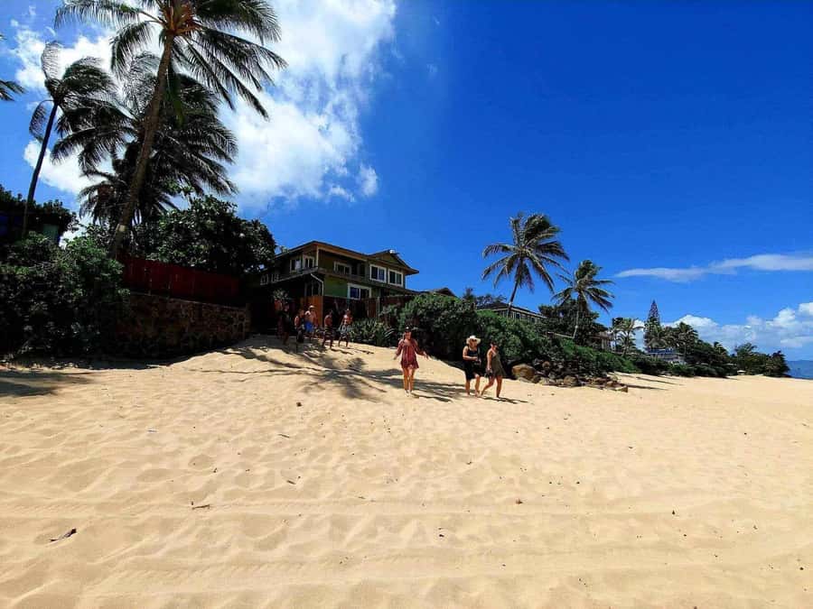 Kevo's Beach Bus - Price, What You Get, and Where Extra Costs Show Up
