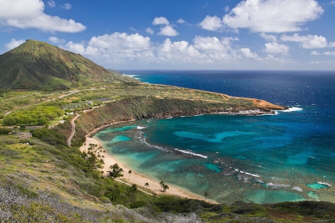 Local Expert Private Tours - Manoa Falls: Waterfall Territory on a Moderate Trail