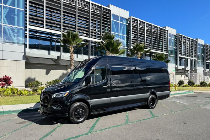 Luxury Sprinter Transfer Airport, Waikiki and Cruise Terminal - Drop-off that actually works: safe parking and unloading help