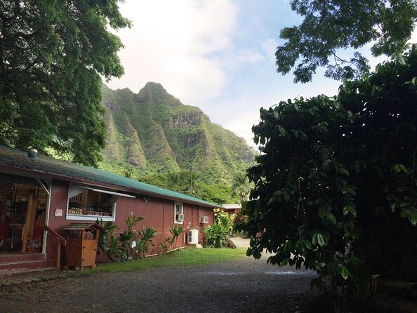 Majestic Circle Island Tour with Lunch - Waikiki Pickup, an Air-Conditioned Ride, and a Full Day Ahead