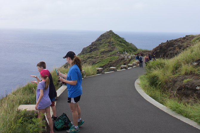Makapu’u Lighthouse Trail and Shuttle Service - Whale watching from the coast: what you can count on