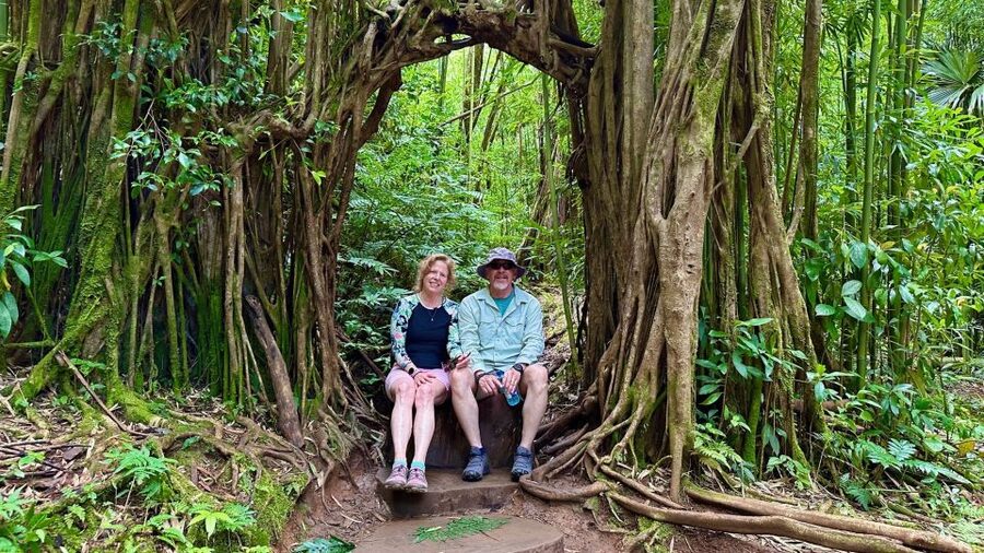Manoa Falls eBike to Hike - The Mānoa Falls hike: rainforest beauty, movie-trail energy, real footing