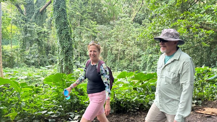 Manoa Falls eBike to Hike - Guide style and pace: small group energy without the chaos