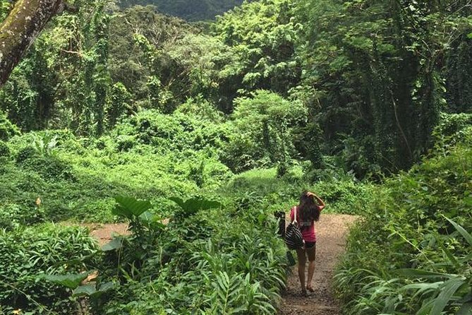Manoa Falls Rainforest & Self-Guided Hike - The Real Workout Happens Near the Top: Steep, Rocky, and Slippery