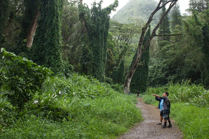 Manoa Falls Rainforest & Self-Guided Hike - The Shuttle Ride Adds Value: Local Stories and Movie-Spot Connections