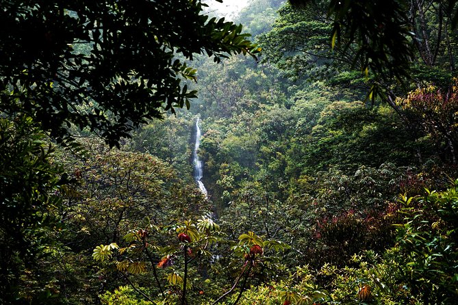 Manoa Waterfall Hike with Waikiki Pickup & Healthy Lunch - How hard is it, really? slipping, stairs, and confidence on the return