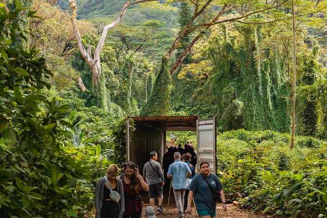 Manoa Waterfall Hike with Waikiki Pickup & Healthy Lunch - Price and value: is $107.10 a good deal?