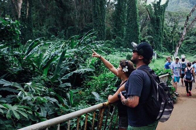 Manoa Waterfall Hike with Waikiki Pickup & Healthy Lunch - Who this tour suits best (and who should skip it)