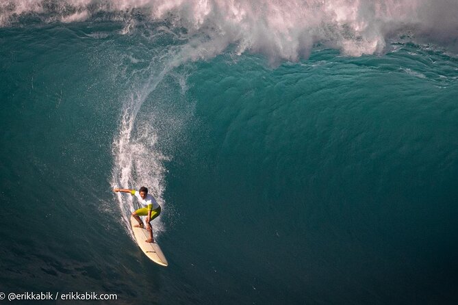 North Shore day,Waterfalls and Turtles Tour - Key Highlights Worth Marking on Your Map