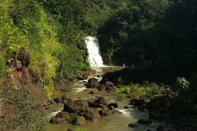 North Shore day,Waterfalls and Turtles Tour - Haleiwa and the Shrimp Truck Lunch Break