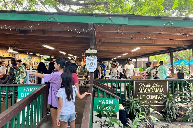 North Shore Dole Pineapple Farm Tour - How the early start shapes your day on Oahu’s North Shore